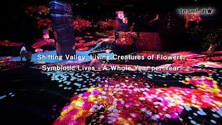 Shifting Valley, Living Creatures of Flowers, Symbiotic Lives - A Whole Year per Year