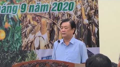 Cần gióng lên hồi chuông về việc lạm dụng thuốc bảo vệ thực vật