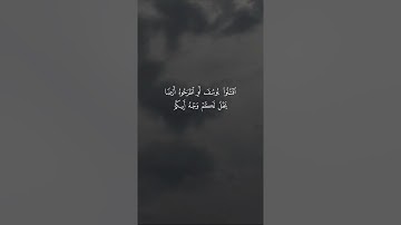 القارئ سالم الرويلي - سورة يوسف | مقاطع قرآن قصيرة وحالات واتس إسلامية 🌱