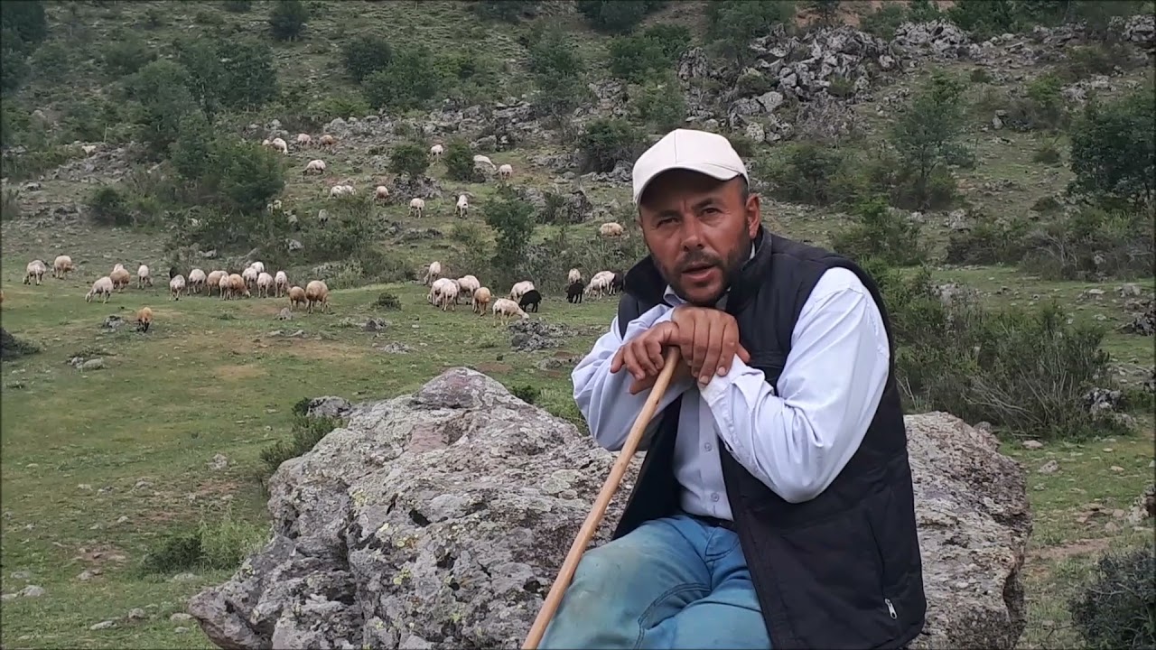 Kayseri / Hacılar / Sakarciftligi / Ömer Ciftlikci / Türkmen