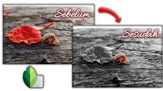 Cara mengedit background menjadi hitam putih dengan snapseed || tutorial snapseed