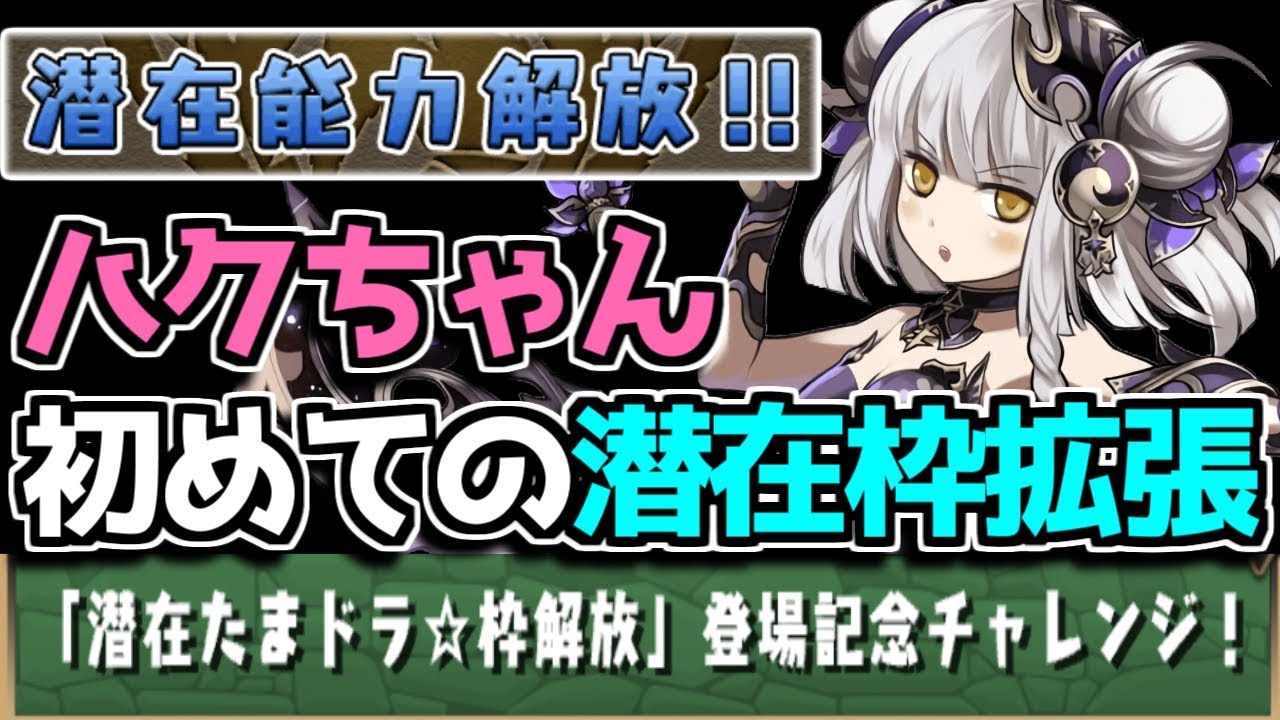 枠 解放 潜在 たま ドラ パズドラ 【パズドラ】潜在たまドラ枠解放登場記念チャレンジの安定攻略パーティ