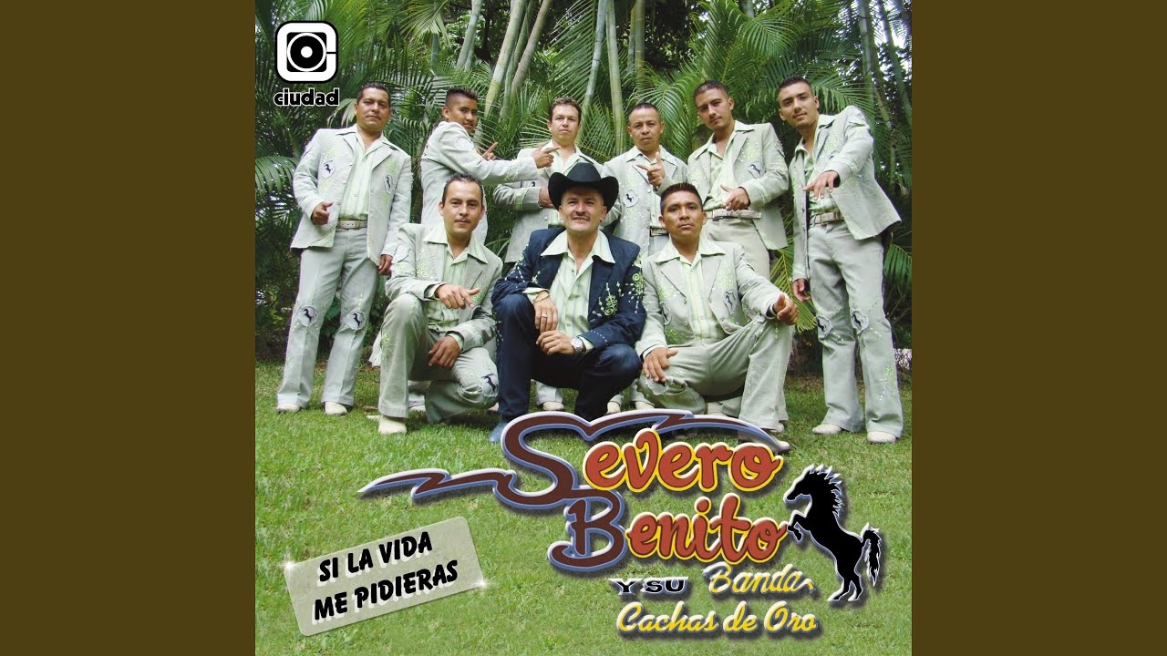 Si la Vida Me Pidieras