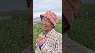 #美空ひばり #昭和歌謡 #60年代歌謡曲 #昭和の名曲 #懐メロ #吉岡治 #原信夫 #歌謡界の女王 #昭和のポップス歌謡 ##想い出のメロディー #加藤和枝 #歌手 #昭和歌謡カバー #アカペラ