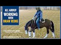 How I Work With DRAW REINS!!