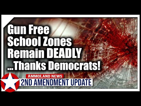 Gun Free School