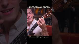 Microtonal frets #guitar #musictheory