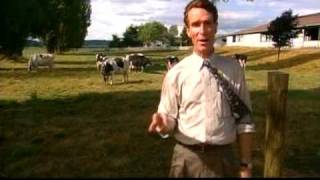 Youtube Poop: Bad Pants