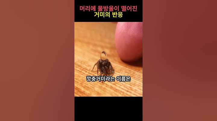 머리에 물방울이 떨어진 거미의 반응