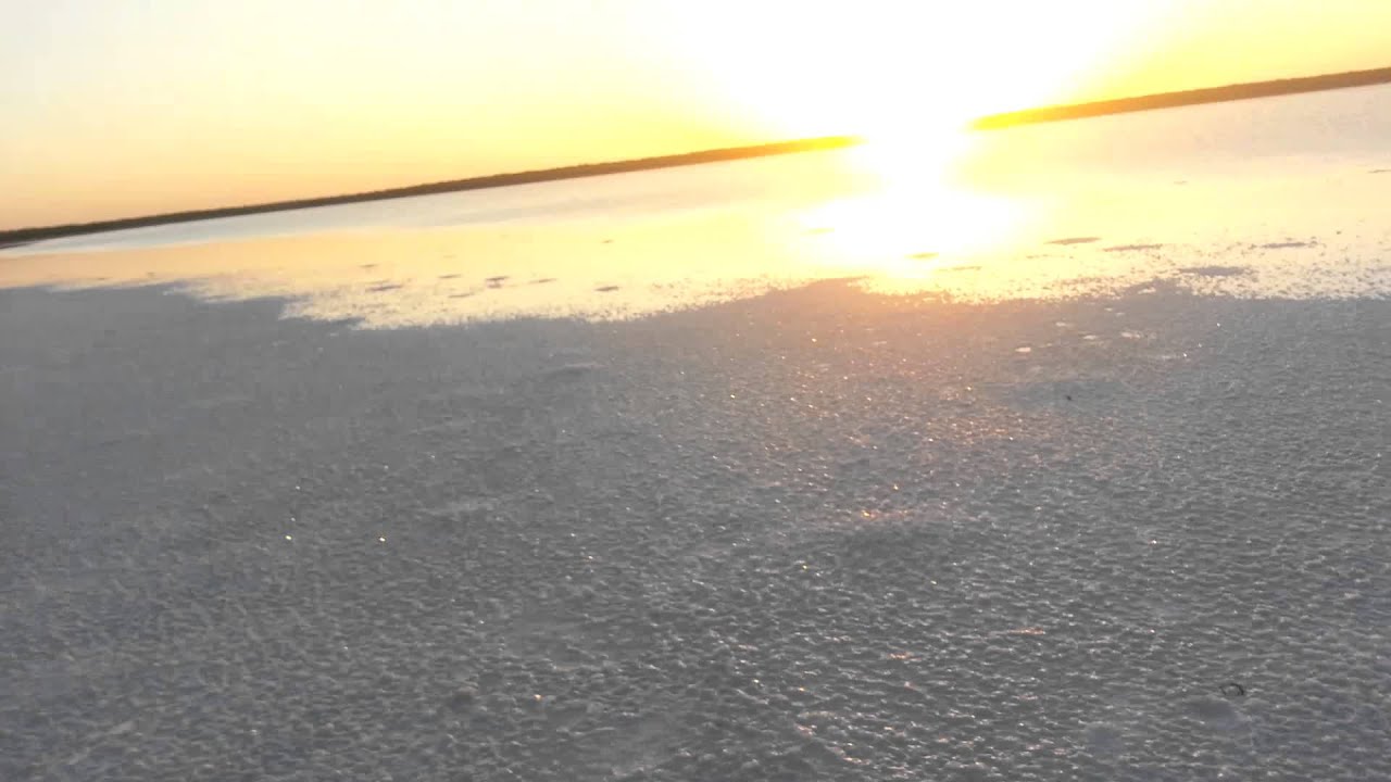 Sal Del Rey run! Edingburg Texas YouTube