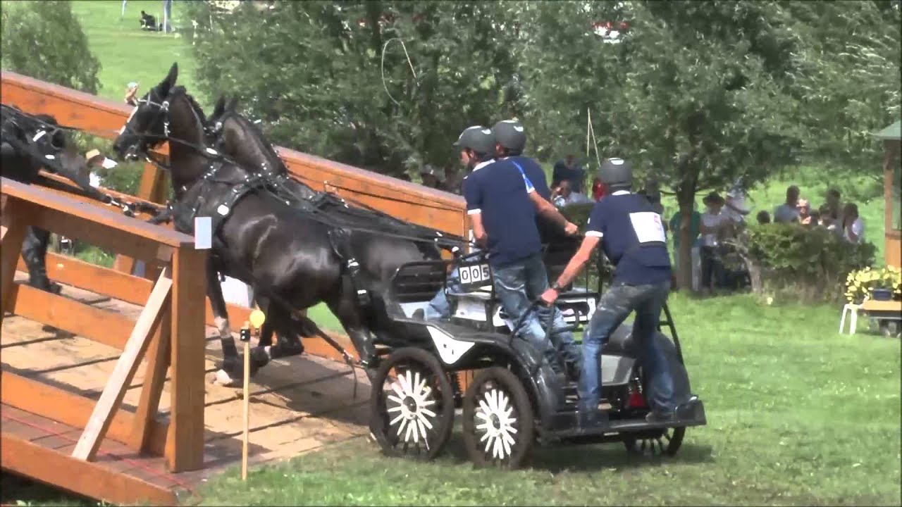 CHIO Aachen 2014: marathon