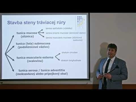 Náhľad videa: Špeciálna histológia: Stavba steny tráviacej rúry
