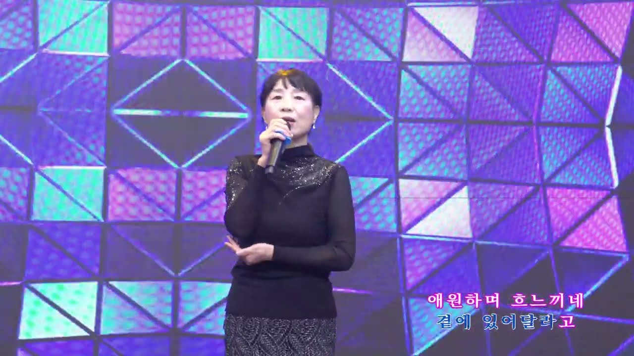 터미널/윤수일  cover by 음경미    [ 코리아가수협회  광주지부 봄나드리 ]