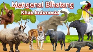 Mengenal Binatang Khas Indonesia | Lagu Anak Indonesia | Lagu Hewan Indonesia