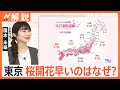 東京ポカポカ 4月下旬並みの気温、さくらの開花はいつ頃に?見ごろは?【Nスタ解説】|TBS NEWS DIG
