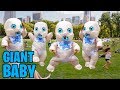 GIANT Inflatable BABIES in Public Prank!