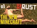 The New Minecraft