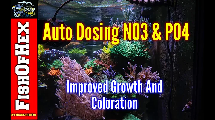 Auto Dosing NO3 & PO4 | Best Decision I Have Ever Made