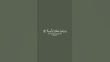 سورة الأحزاب : ياسر الدوسري #قرآن_كريم #قران #قران_كريم #اكسبلور #قرآن