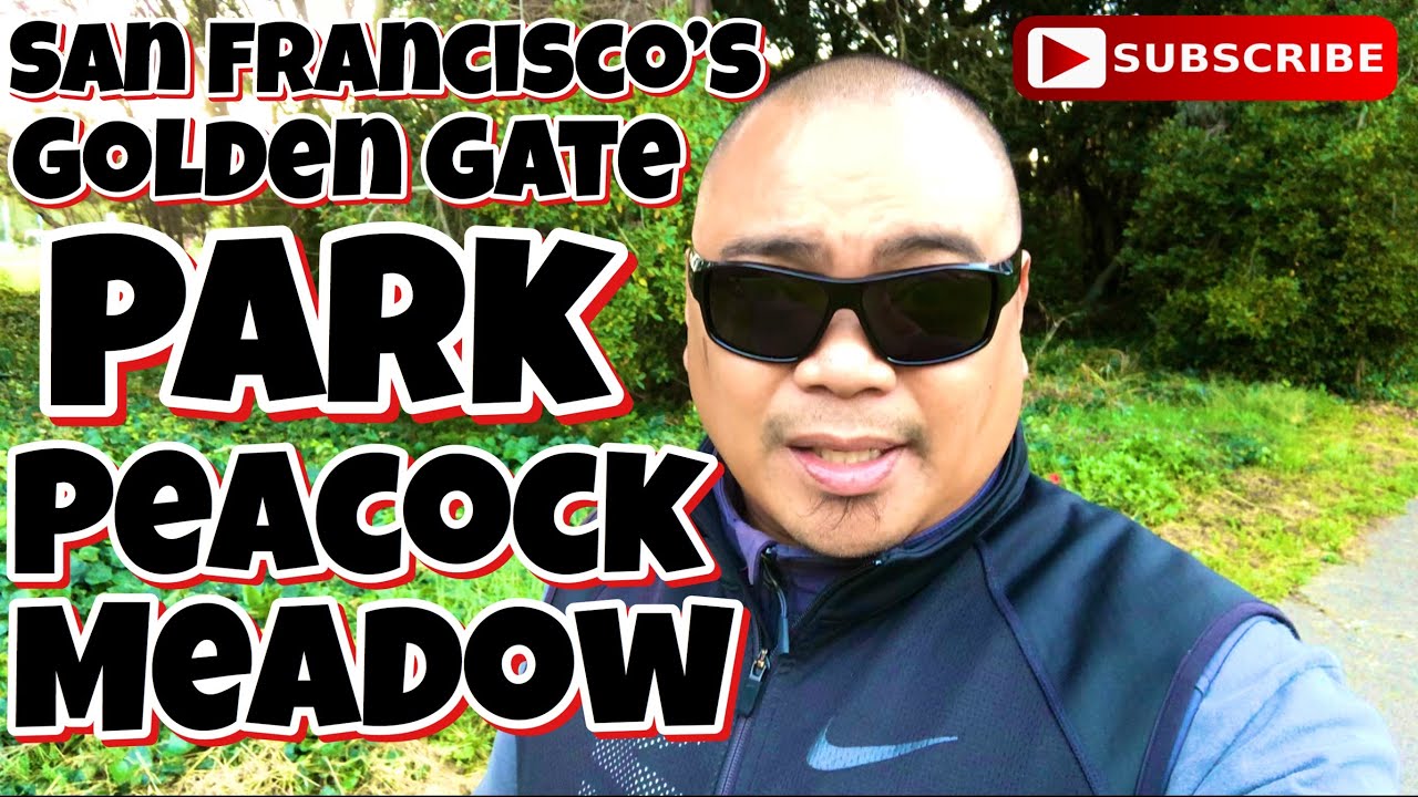 Eric B’s Daily Vlogs 547 San Francisco’s Golden Gate Park Peacock
