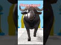 paint &amp; animals cow cartoon,bull,buffalo,yak,ox, indian bison fountain crossing animal transform