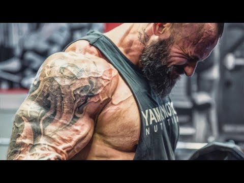 IN THE ZONE - Bodybuilding motivation