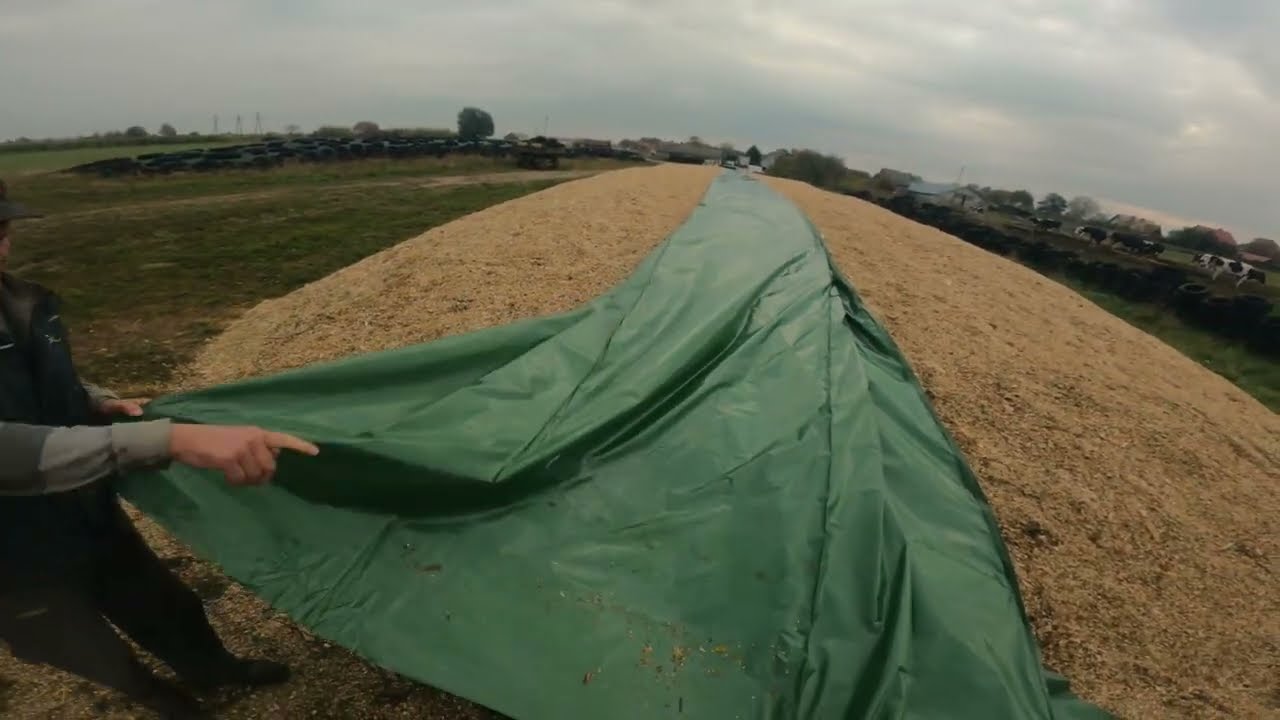 MOJA DNIÓWKA / Okrywamy pryzmę,  jak okryć pryzmę ? Kukurydza 2022