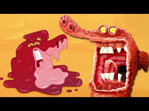 Zig & Sharko