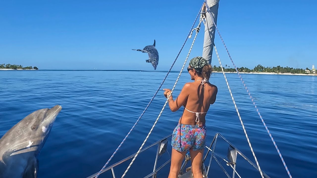 ⁣Navigation des Marquises aux Tuamotu, 2e partie.Ep37