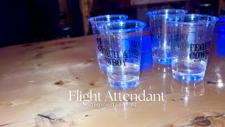 ABC Crew, Lost Camera, Tequila Shots x Nashville Layover: Flight Attendant Vlog 04