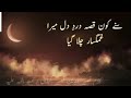 سنے کون قصہ درد دل میرا غمگسار چلا گیا