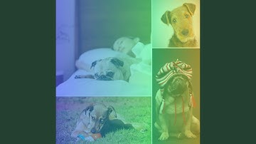 Pulsating Ambience for Idle Pups