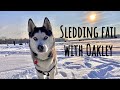 Sledding fails with oakley