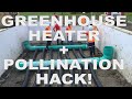 Climate battery greenhouse results  how to increase pollination in your hot house