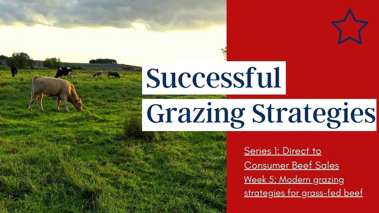 Modern Grazing Strategies for Grass-fed Beef Production