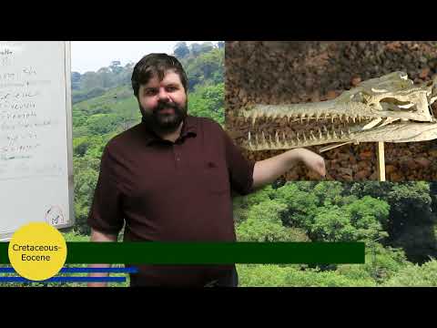 Mesozoic Crocs- Part 1
