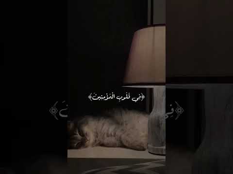 ما قدرت أطلع من الفيديو من كثر ما صوتو راحة نفسية 😩✨🕯 #جيش_المينيز #مينا_لا_موسيقى