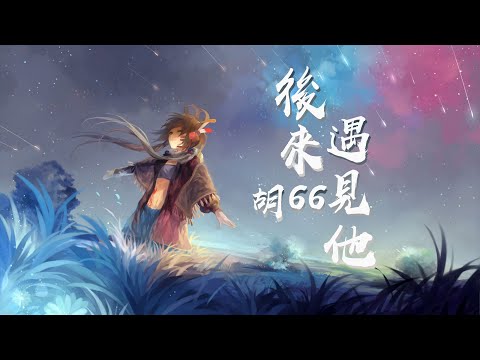 后来遇见他 - 胡66 [抖音流行歌]
