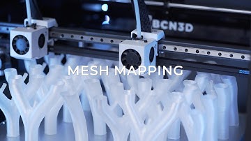 Mesh Mapping - BCN3D Epsilon Series