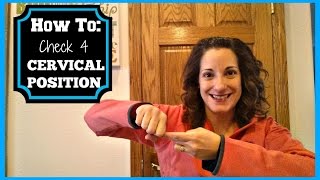 How to Check for Cervical Position How To Measure Your Cervix Height