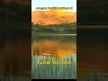 Yulia Yasmin - Jangan Sakiti Hatinya Ii #Shorts #Music #MusicVideo