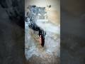 mt 15 new model 2026/mt 15 full modified/mt 15 modification/mt 15 top speed/mt 15 riding/mt 15 rider