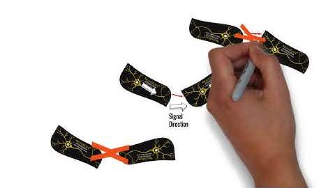 Introduction To NeuroBytes