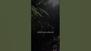 قَالَ وَمَن يَقْنَطُ مِن رَّحْمَةِ رَبِّهِ إِلَّا الضَّالُّونَ | سورة الحجر | هزاع البلوشي