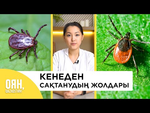 Бейне: Кене шаққанда қышиды ма?