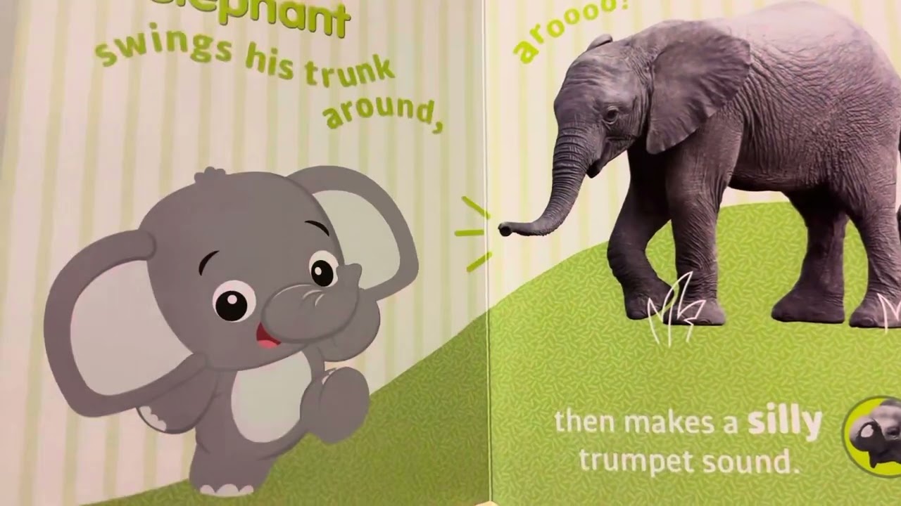 Read to Me | Amazing Animals by Baby Einstein - Press & Play Book + Animal Sounds