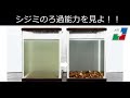 シジミのろ過能力を見よ！！ NA13【内水面研究所】