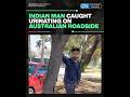 Indian Man Urinating on Australia Roadside | অস্ট্রেলিয়ার রাস্তার পাশে প্রস্রাব করলেন ভারতীয়