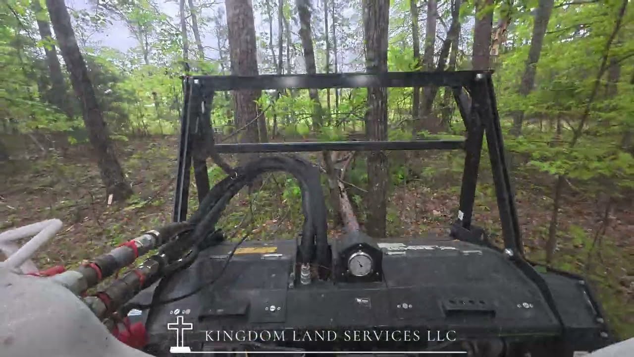 Bobcat T86 - Fecon Bullhog 61" DCR - Forestry Mulching - Stihl MS661