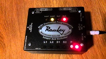 Rauley 2+2 Programmable Mini Looper/Switcher